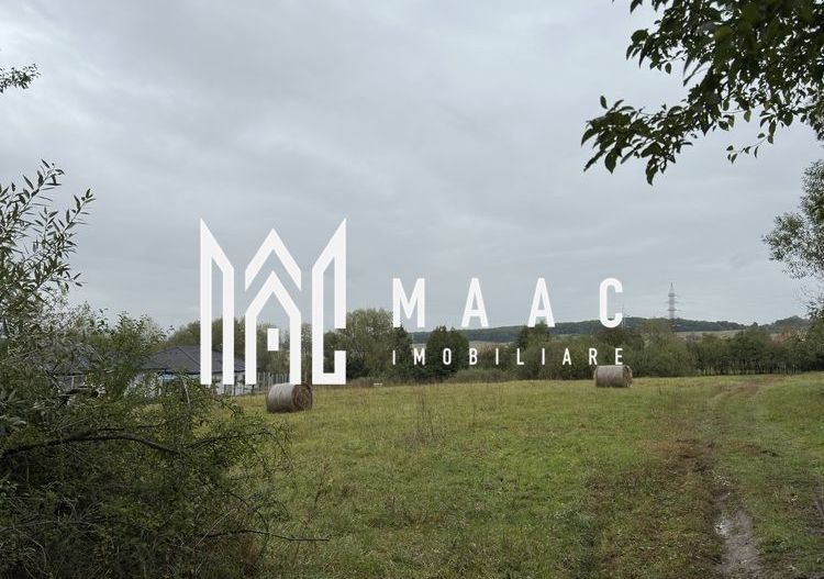 Teren intravilan 5.017 mp in Cisnadie, Sibiu - Poză 5