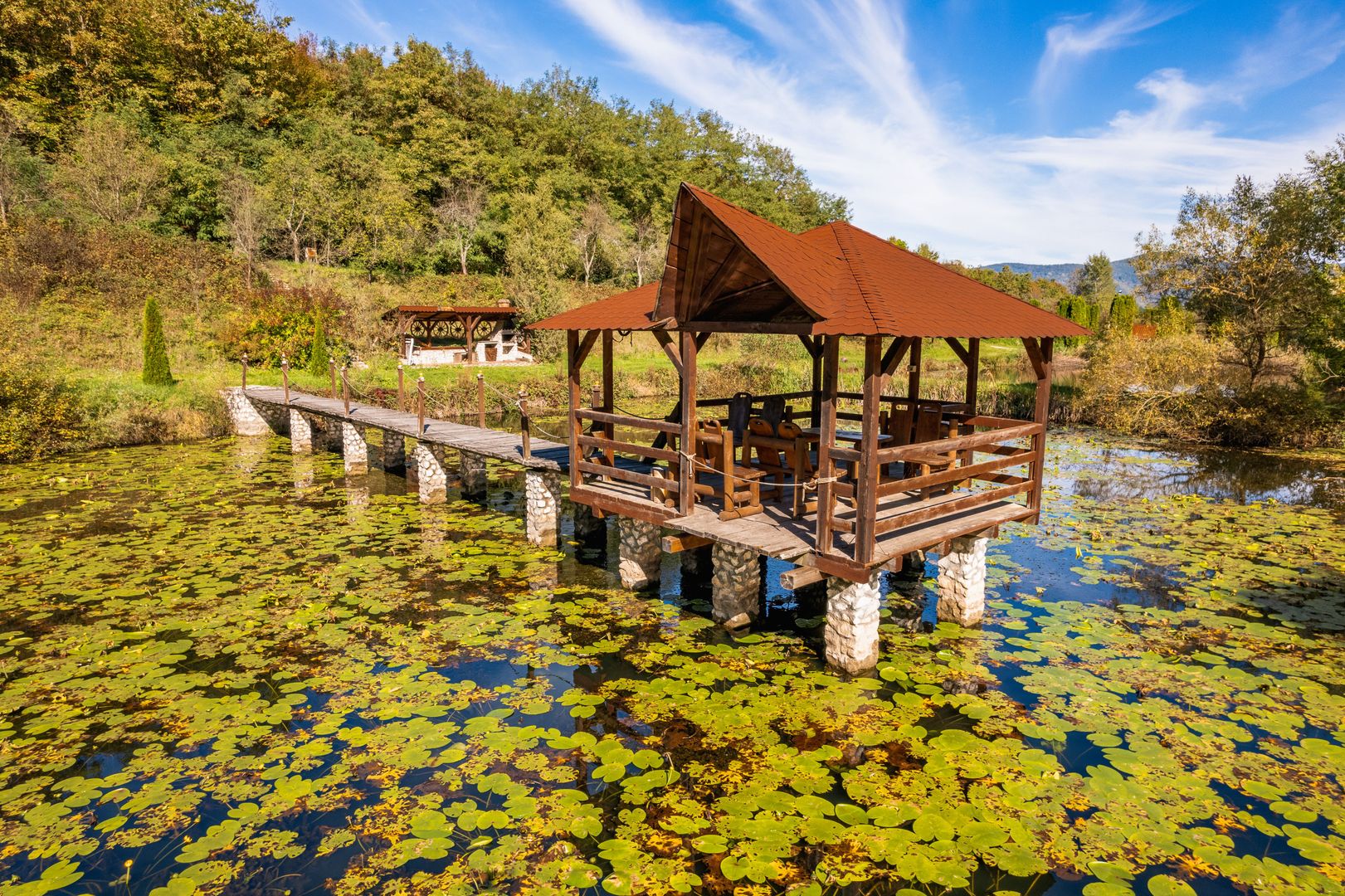 Domeniu în satul Căprioara - Poză 4