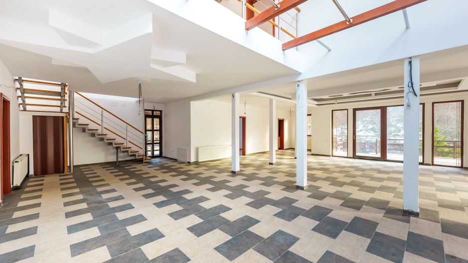 Vilă pentru investiții în Moneasa - Poză 2