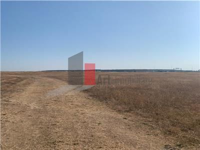 Vanzare  Teren  Pipera  2500mp - Poză 2