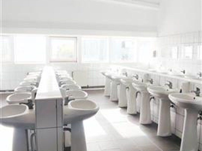 hale in parcul Roman sau tractorul - Poză 5