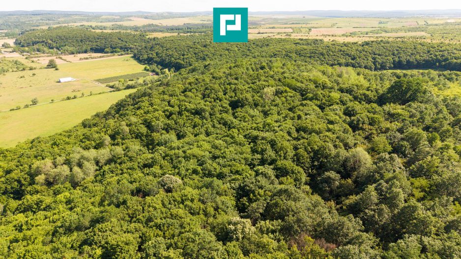TEREN AGRICOL EXTRAVILAN  22.900 MP LIPOVA - Poză 18