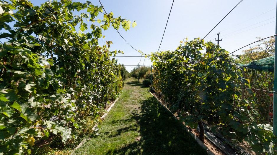 Casa visurilor cu 4000 mp livada roditoare si gradina Darmanesti-Arges - Poză 18