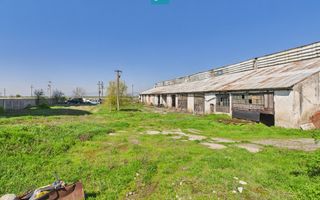 Spațiu industrial, rampă și acces la calea ferată - Poză 16