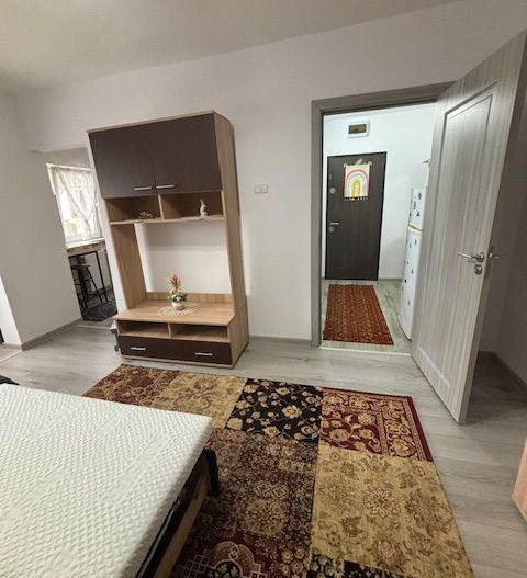 Amenajata si  renovata complet - Poză 3