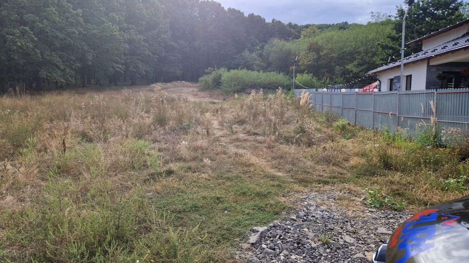 AZURA Imobiliare - Vanzare teren Hintesti, langa padure, 300m din DN - Poză 7