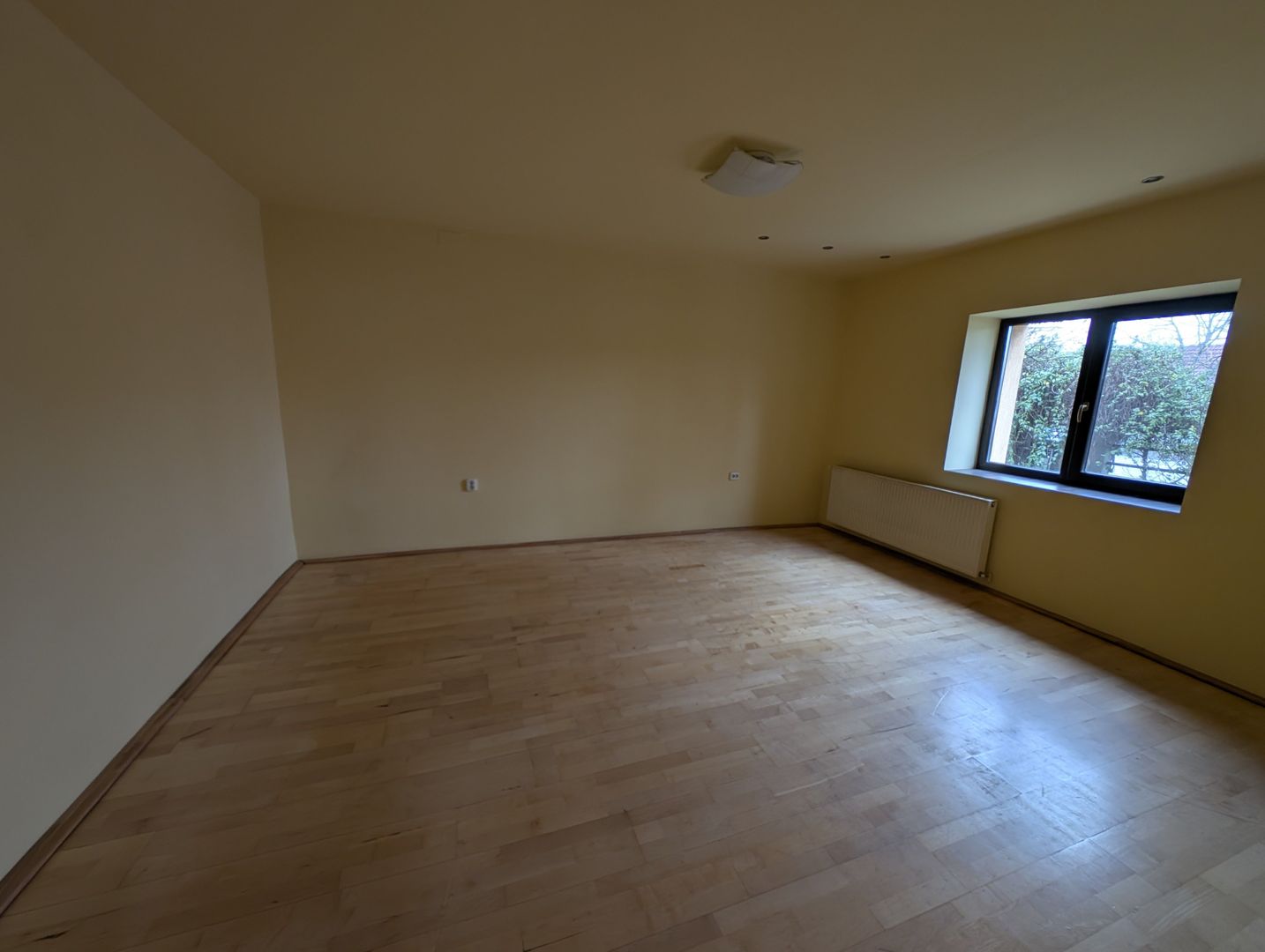 Vila S+P+M cu teren generos Dumbravita - Poză 19