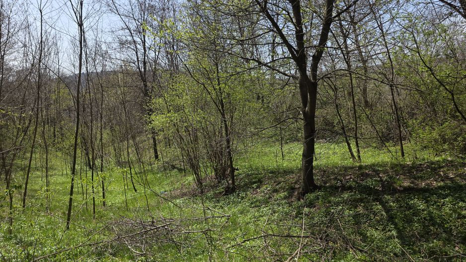 Investitie sigura! Teren foarte bine pozitionat in Brebu, Prahova - Poză 10