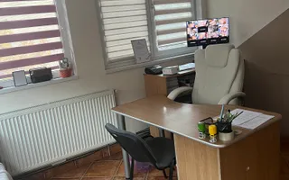 Imobil multifuncțional, 450 mp utili, teren 640 mp, Torontalului - Poză 23