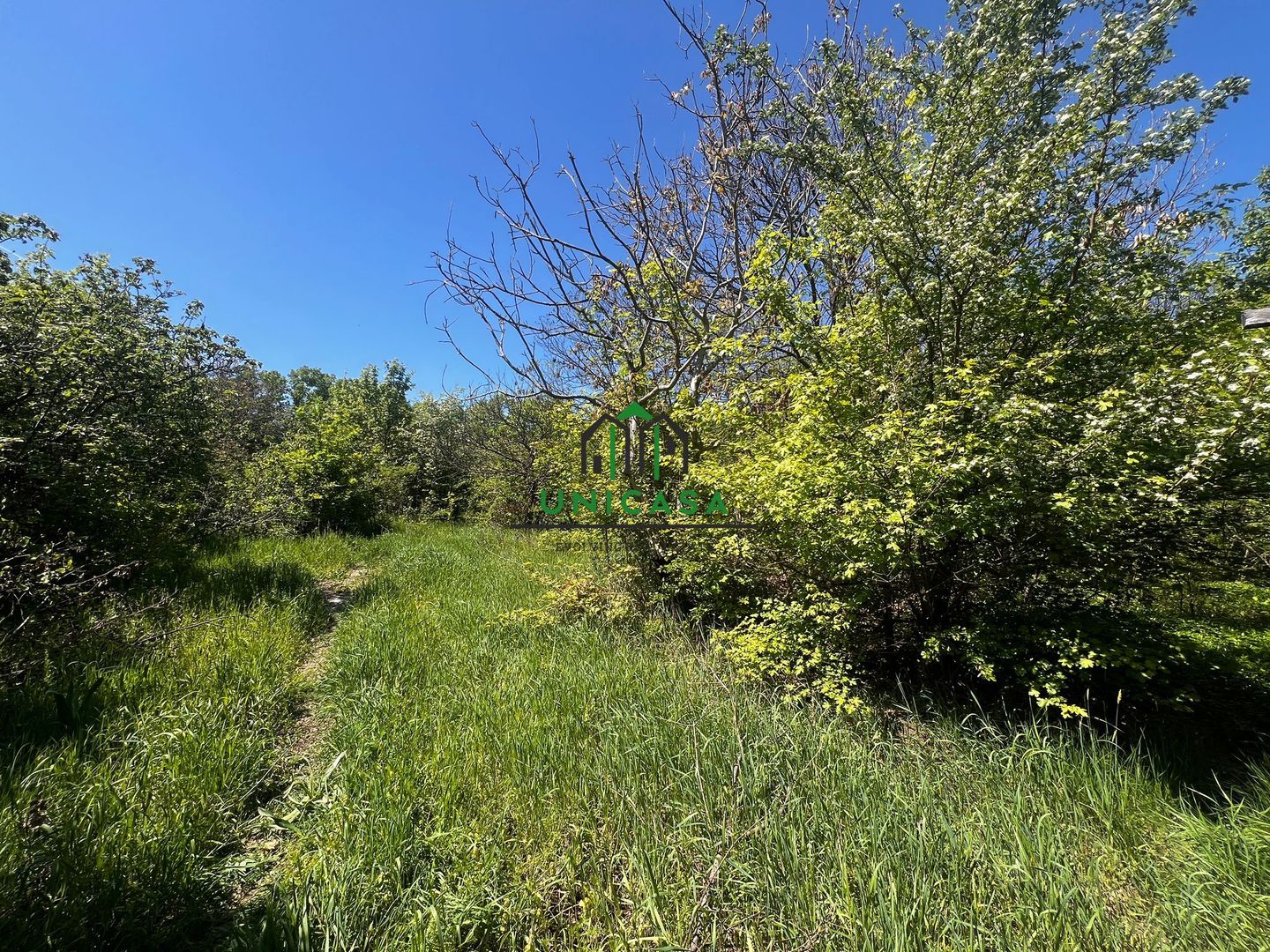 Teren intravilan/934 mp/Lenin Sud - Poză 3