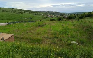 Teren Dorobant 1212mp - Poză 5