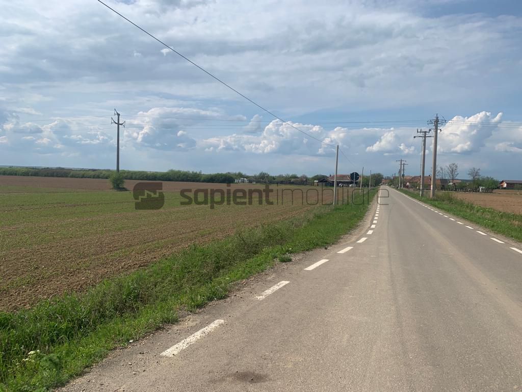 Sapient | Teren Agricol Intravilan zona Bors ,localitate Santau - Poză 3