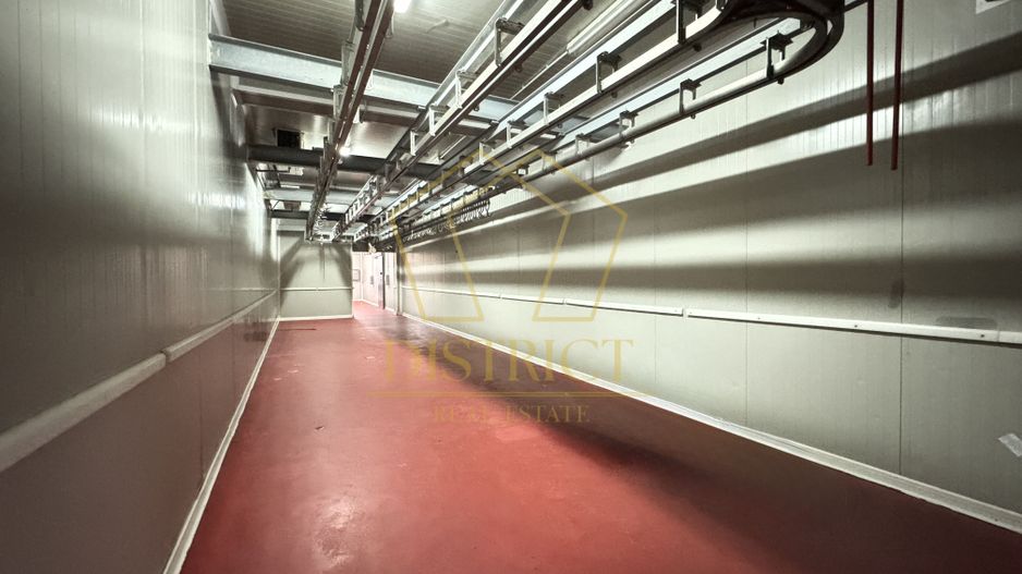 Hala pentru depozitare si distributie | Dumbravita - Poză 6