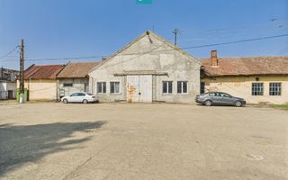 Complex industrial cu hale și teren  în Orțișoara - Poză 5