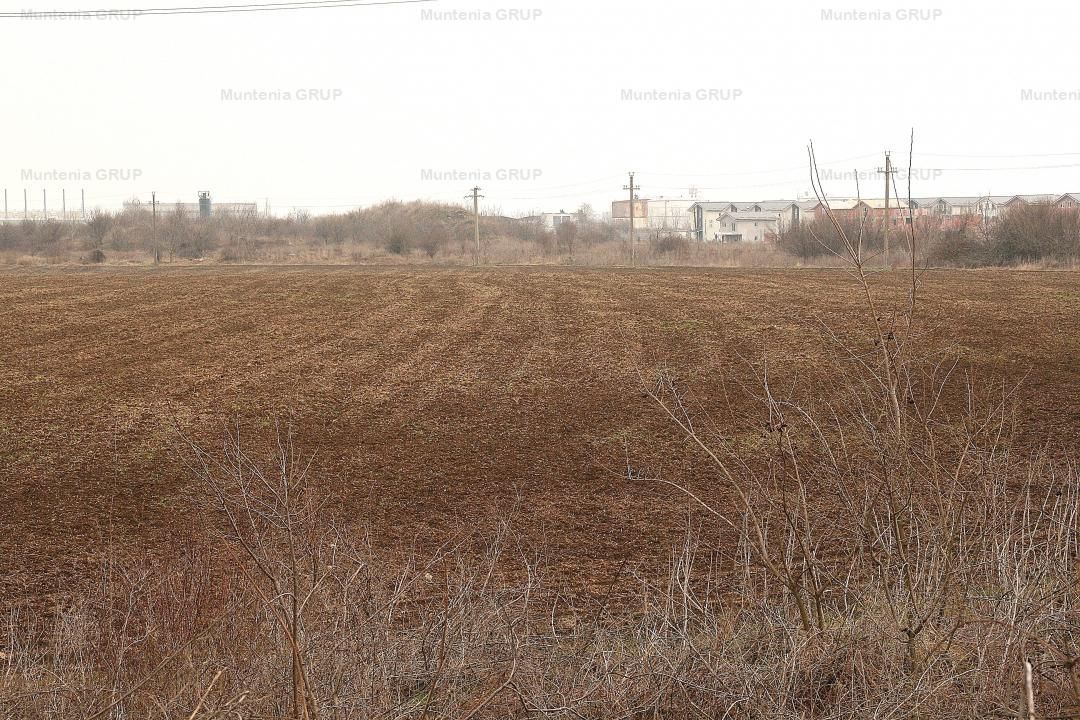 OTOPENI - Ferme, 30.400 mp. teren intravilan construibil cu deschidere de 450 ml. - Poză 2