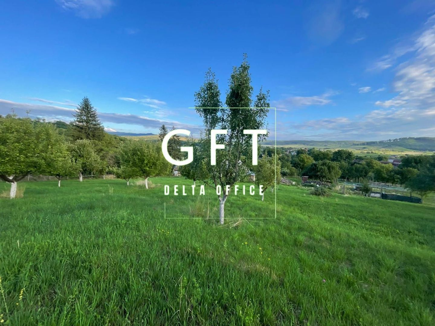 PARCELE TEREN INTRAVILAN 5-29.2 ARI - DOROLEA - Poză 1