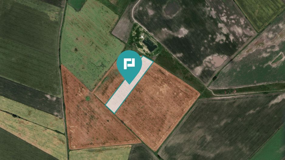 Teren extravilan de 28900 mp în Variașul Mare - Poză 4