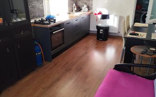 Casa cocheta la 30 minute de Craiova- Cornița Dolj - Poză 2