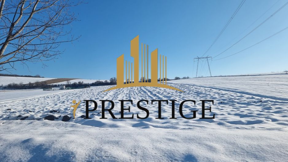 FĂRĂ COMISION | TEREN 6695 MP ÎN ȘURA MARE - Poză 8