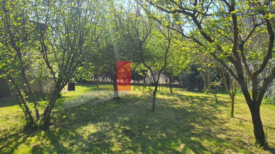 Silistea Snagovului | Casa de vis | Locatia de vis - Poză 9