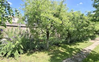 Casă de vânzare în Valea Lupului – poziție excelentă, grădină și potențial comercial - Poză 6