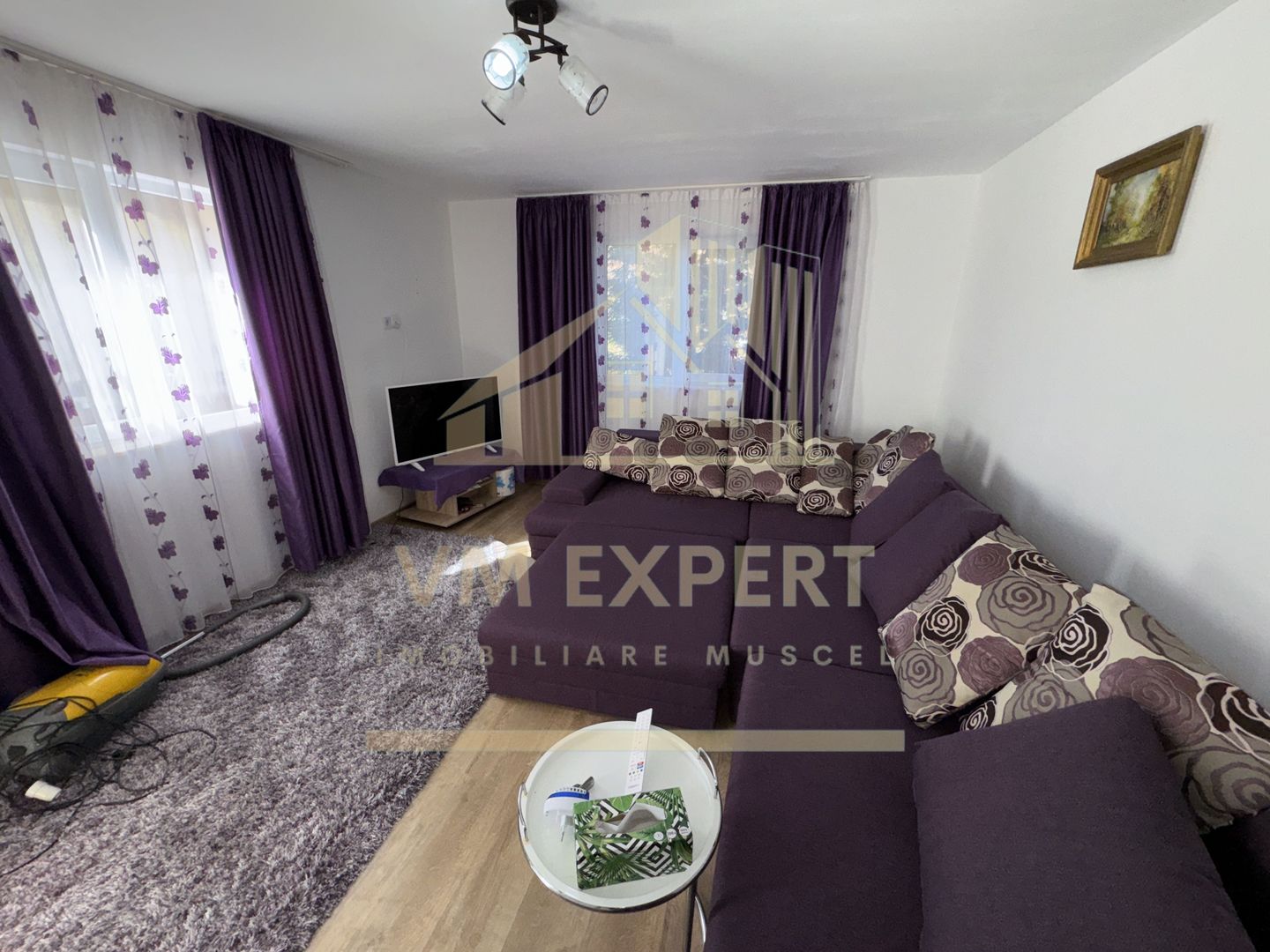 CASA 3 CAMERE, TEREN 1000 MP, GODENI, ARGES - Poză 4