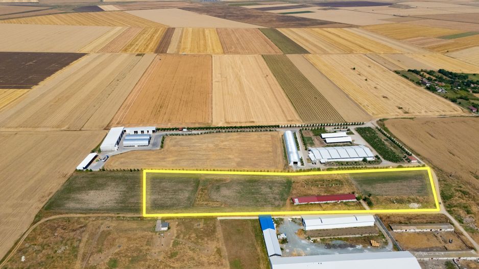 Cogealac - Tariverde – Ferma cu teren intravilan, utilitati racordate! - Poză 5