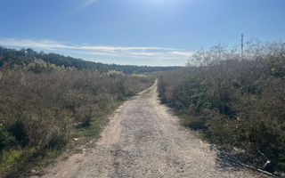 Teren intravilan de vânzare – Găneasa - Poză 2
