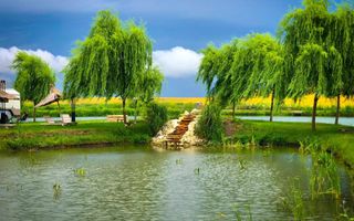 Pescărie cu restaurant de inchiriat - Poză 3