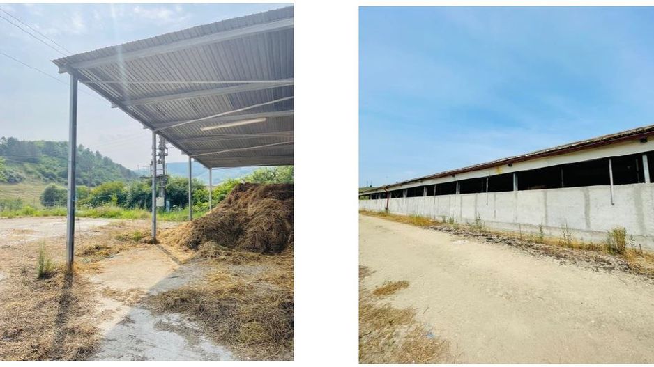 Spatiu Industrial Lechinta - Poză 4