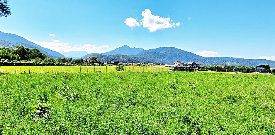 Sacele, teren intravilan 1386 mp, parau, priveliste superba, 45 euro/mp - Poză 14