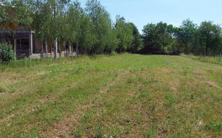 Teren Intravilan 12500 mp Drajna de Sus - Teisani. - Poză 3