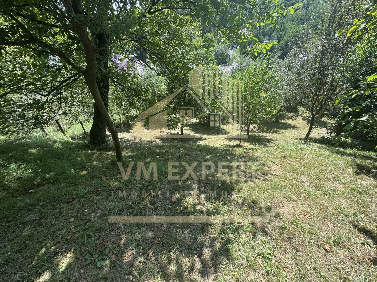 CASA 6 CAMERE TEREN 1005 MP  BUGHEA DE JOS ARGEȘ - Poză 36