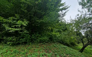 De vanzare teren, Strada Valea Ghinzii | 34 ari | Intravilan - Poză 13