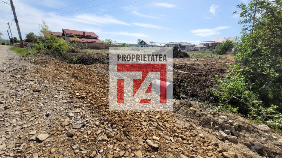 Teren intravilan  13 ari  Catallina - Poză 4