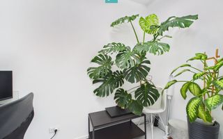 Duplex 1/2 mobilat şi utilat în Săcălaz - Poză 21