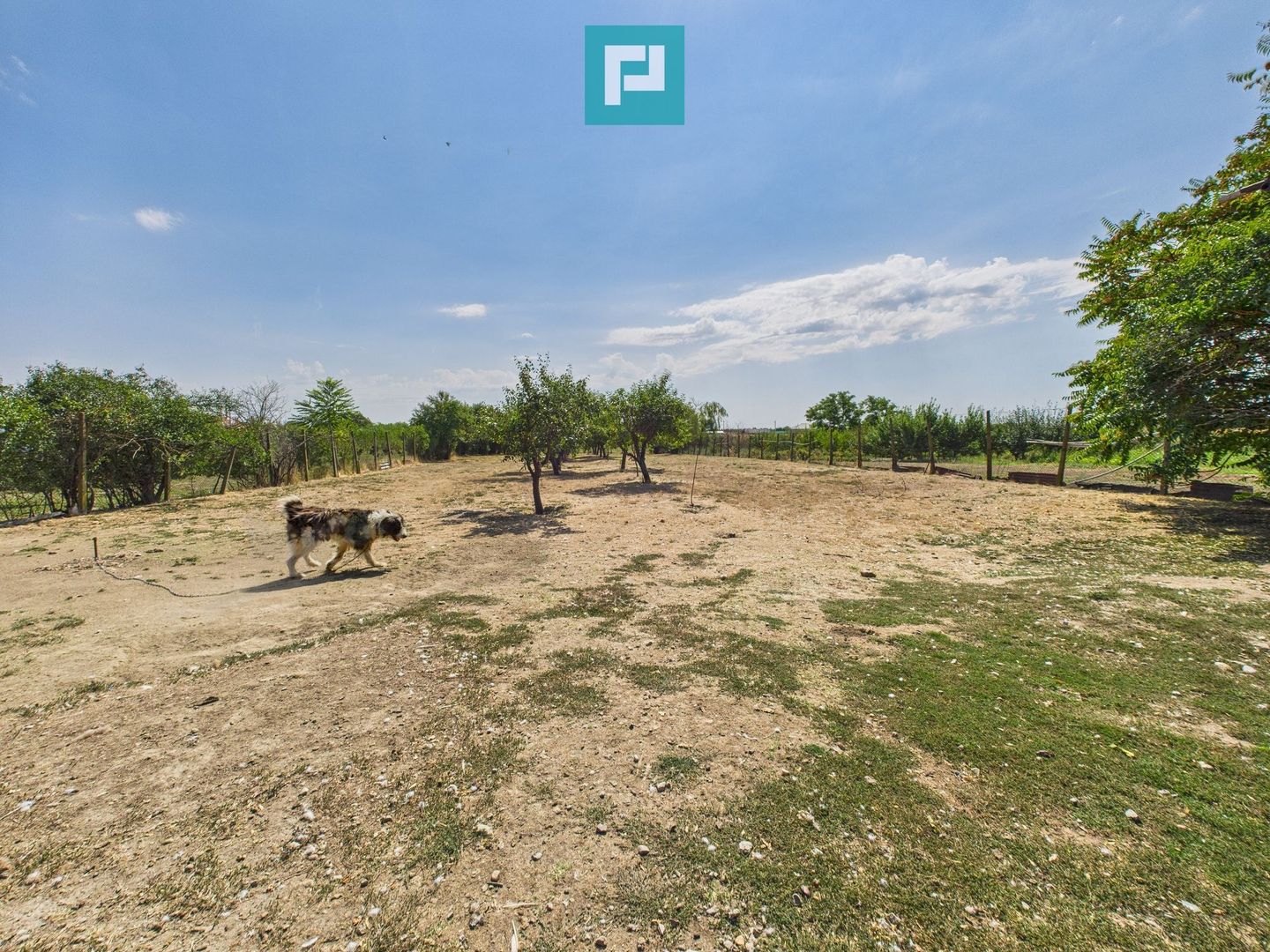 Casă cu 6 camere în Sânicolau Mare Timiș - Poză 21