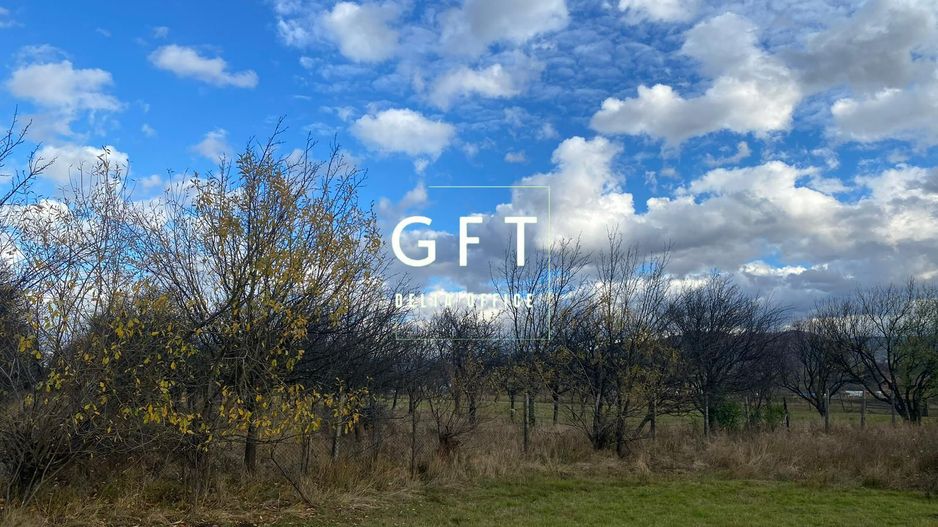 Teren Rusu Bargaului 48 ari - Poză 3