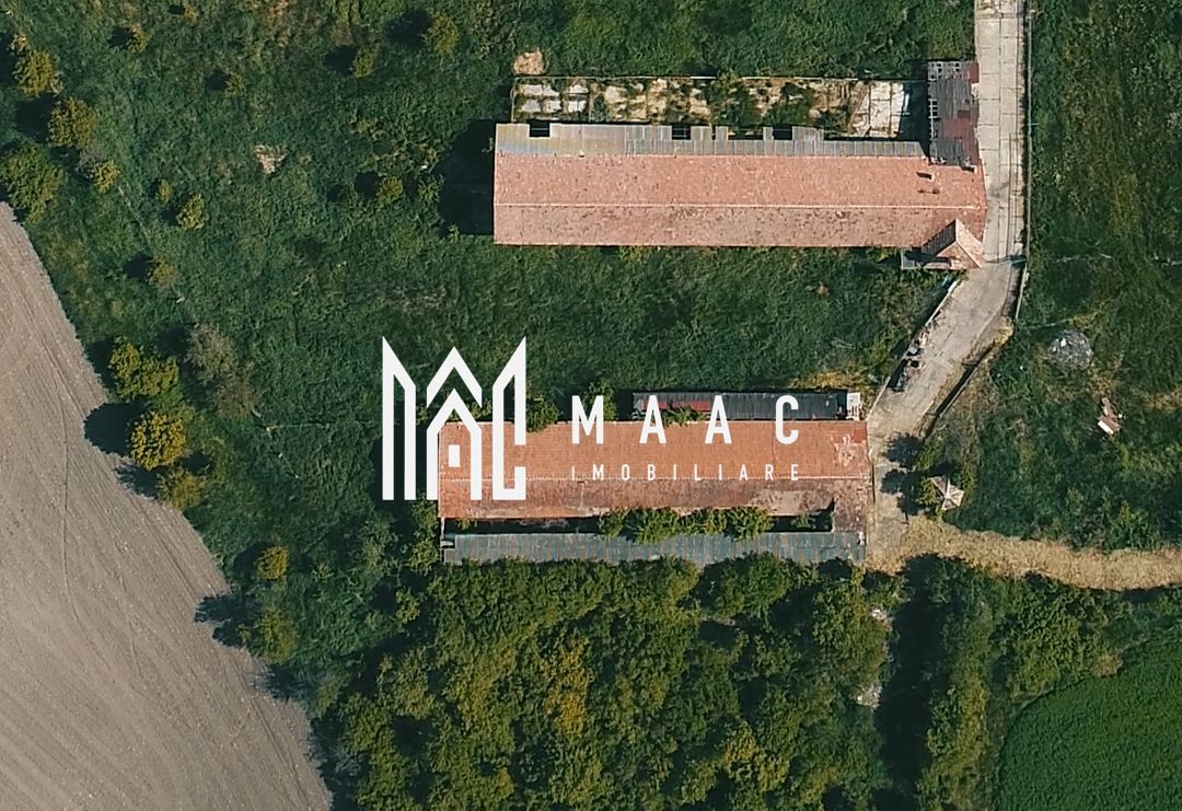 Hale disponibile 1400 mp I Teren 6000 mp I Utilități I Apoldu - Poză 2