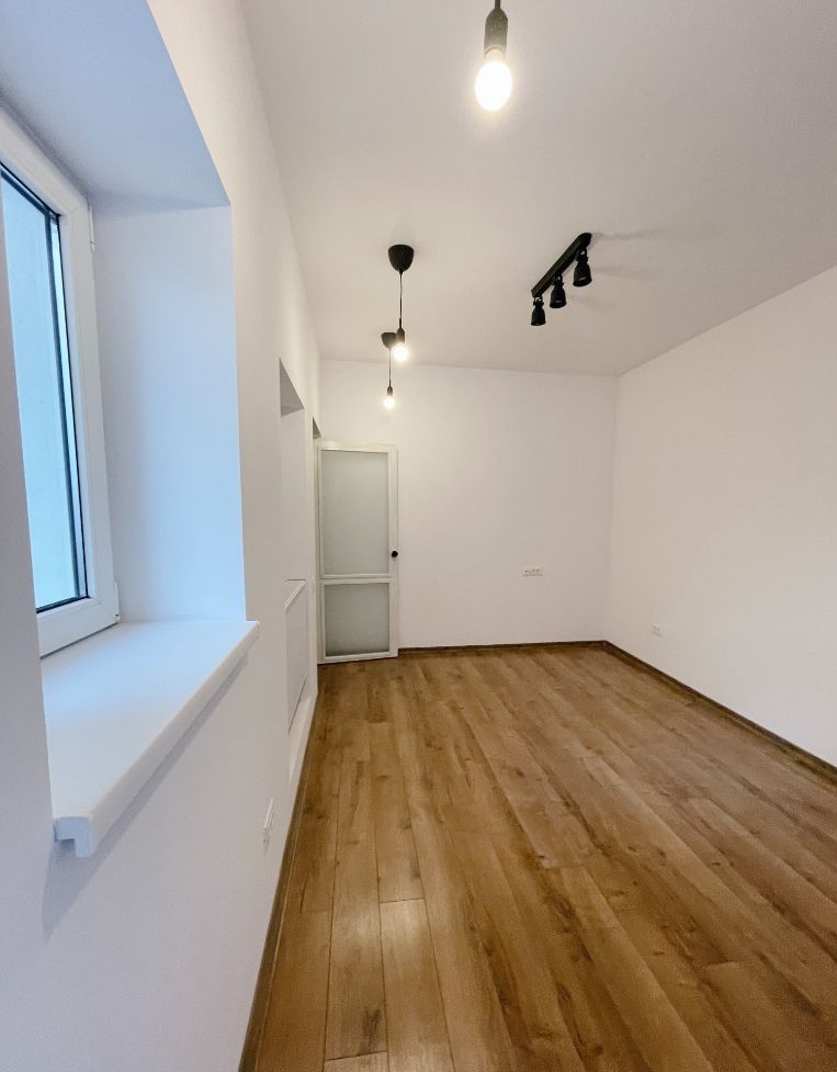 Vila cu terasa si curte de inchiriat (ideal firma), Parcul Carol - Unirii - Poză 6