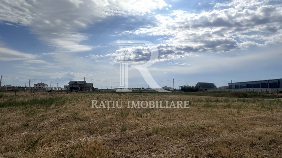 Investiție cu potențial | Teren intravilan 9.482 mp | Leș, Bihor - Poză 2