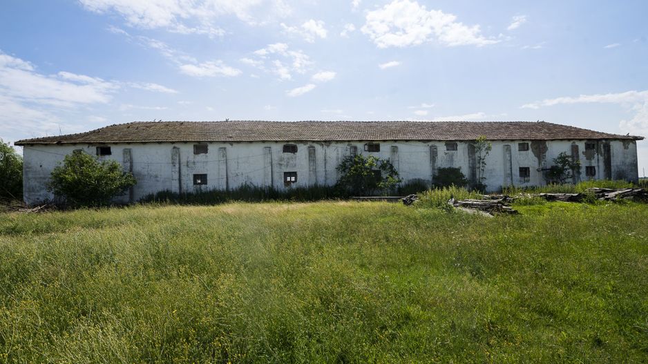 Oportunitate de investiție în localitatea Zărand - Poză 9