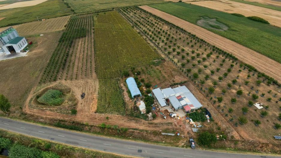Livadă de 3,6 hectare în Iratoșu – Oportunitate - Poză 2