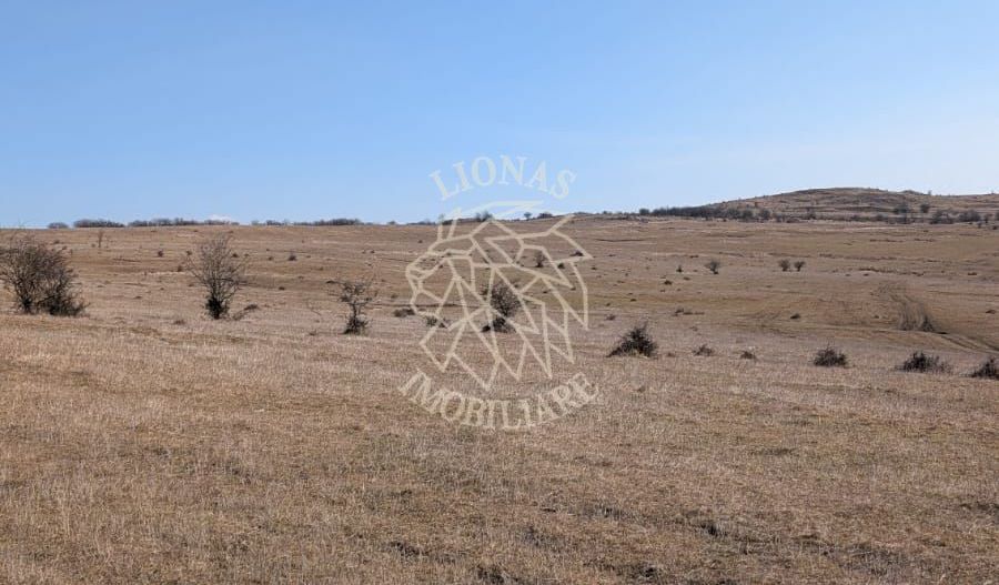 Teren 130.000 mp (13 ha)-Parcelabil-investitie-Zona Cighir - Poză 2