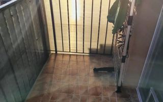 Apartament 2 camere comuna Giroc etaj 1 - Poză 5