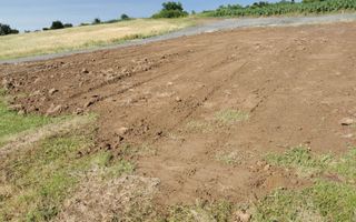 Giroc-Padure | 500 mp | 2 F.S. - Poză 7