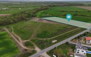 Teren intravilan 5800 mp în Remetea Mare - Poză 1