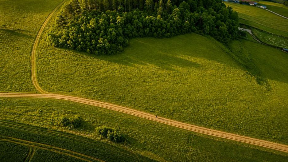 6.000 mp teren granitat de liziera compacta de padure, ecran natural de liniste, - Poză 1