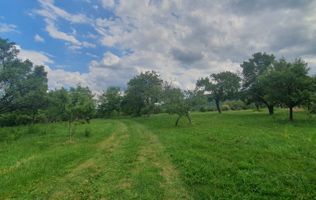 Teren de vanzare in Sibiel .