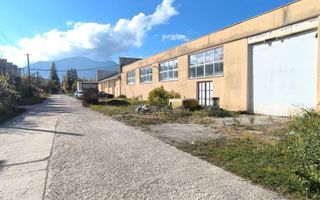 Hală de vânzare – Parcul Industrial Tohanul Vechi, Zărnești - Poză 1